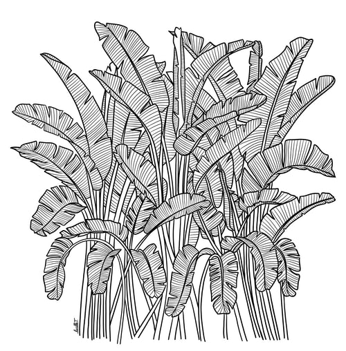 Papier peint Bananier