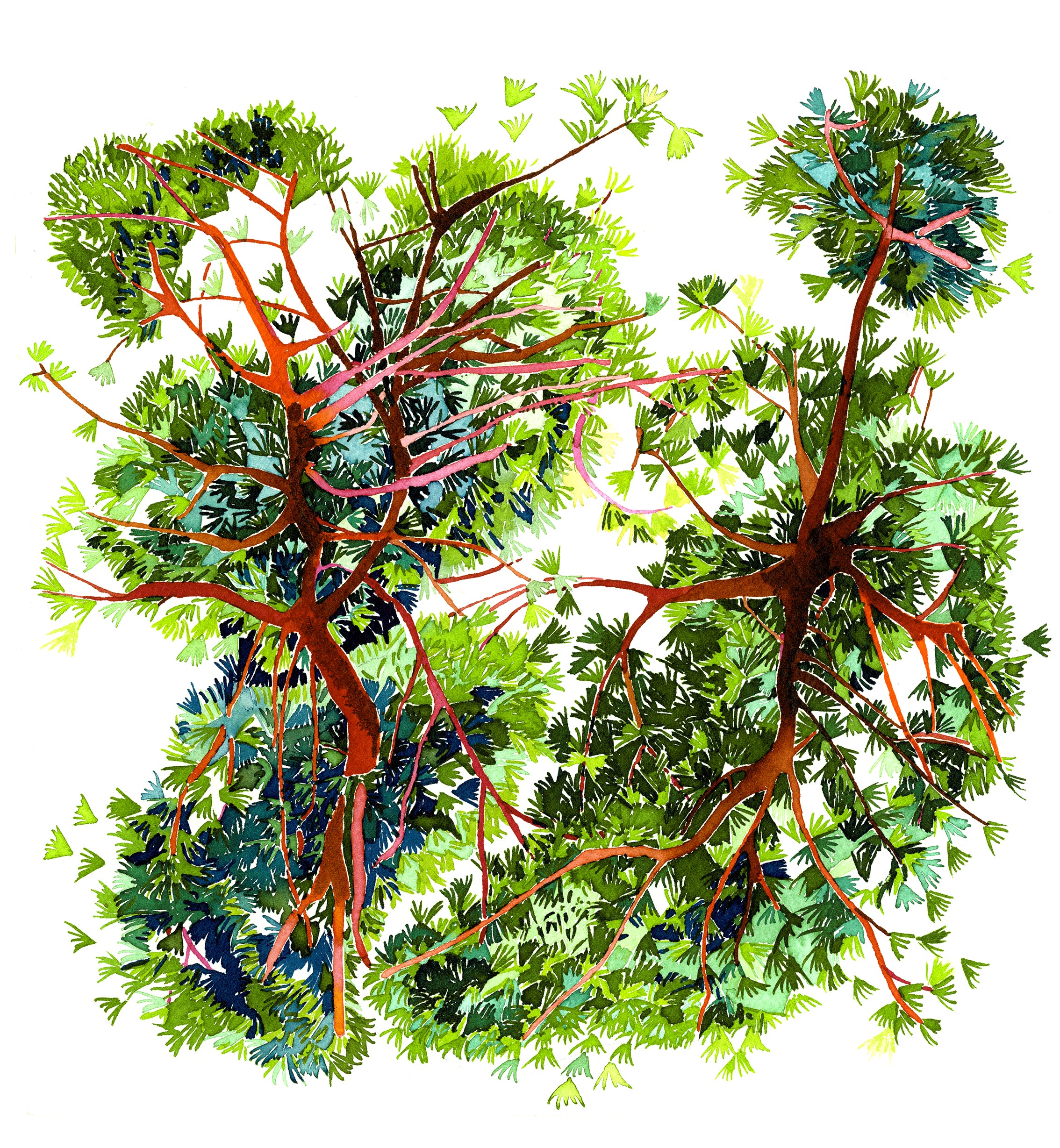 Papier peint Canopée