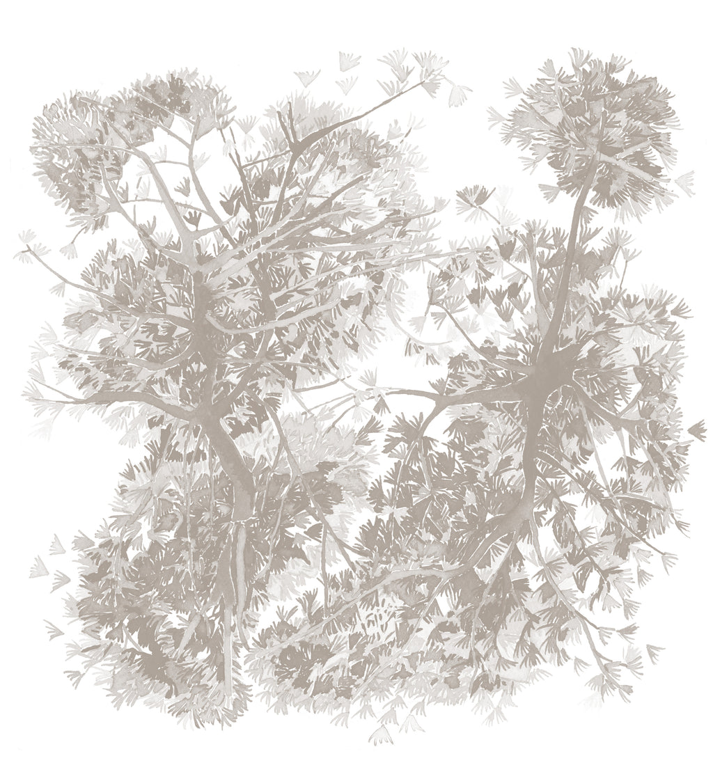 Papier peint Canopée