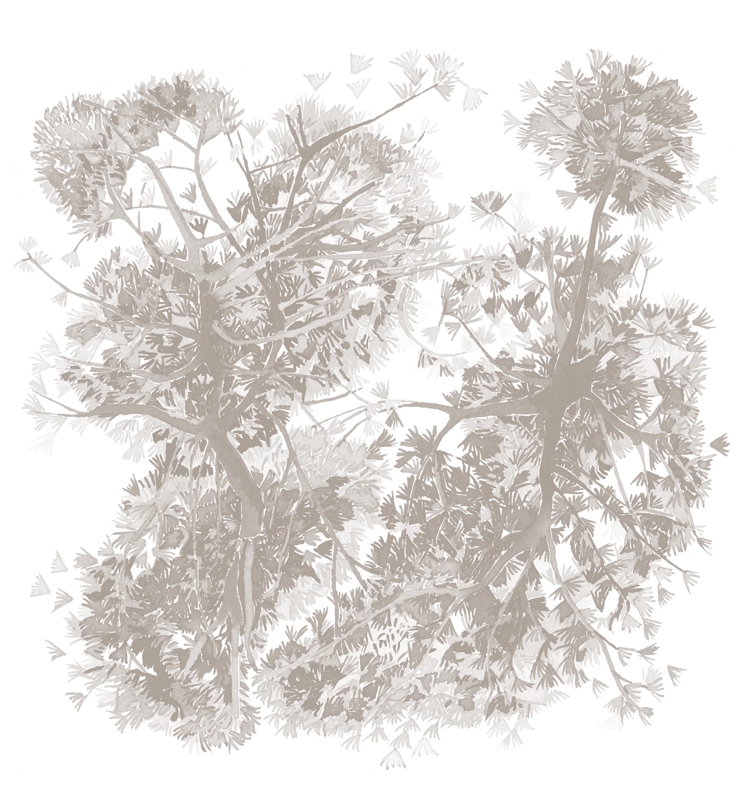 Papier peint Canopée