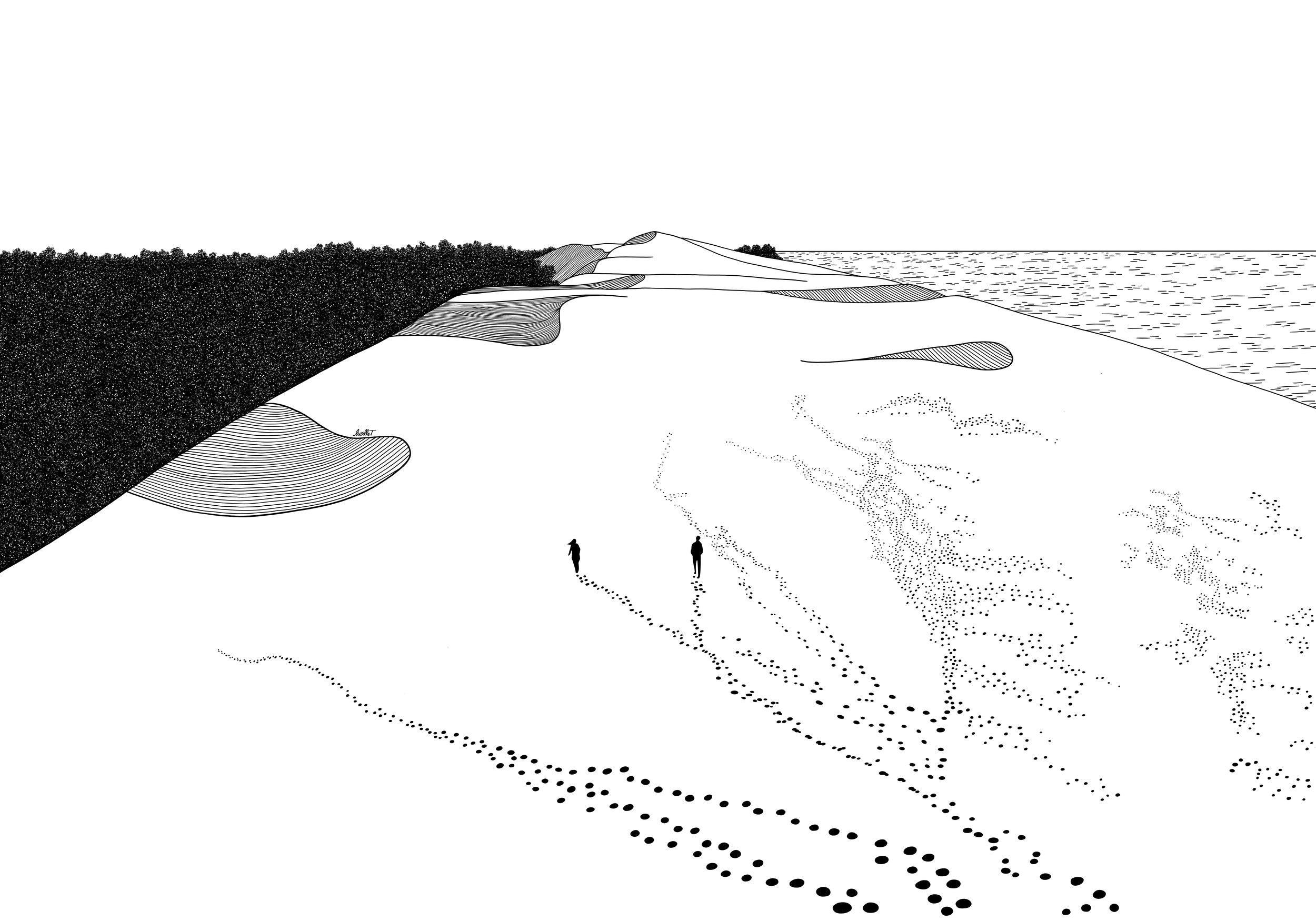 Papier peint Dune du Pilat