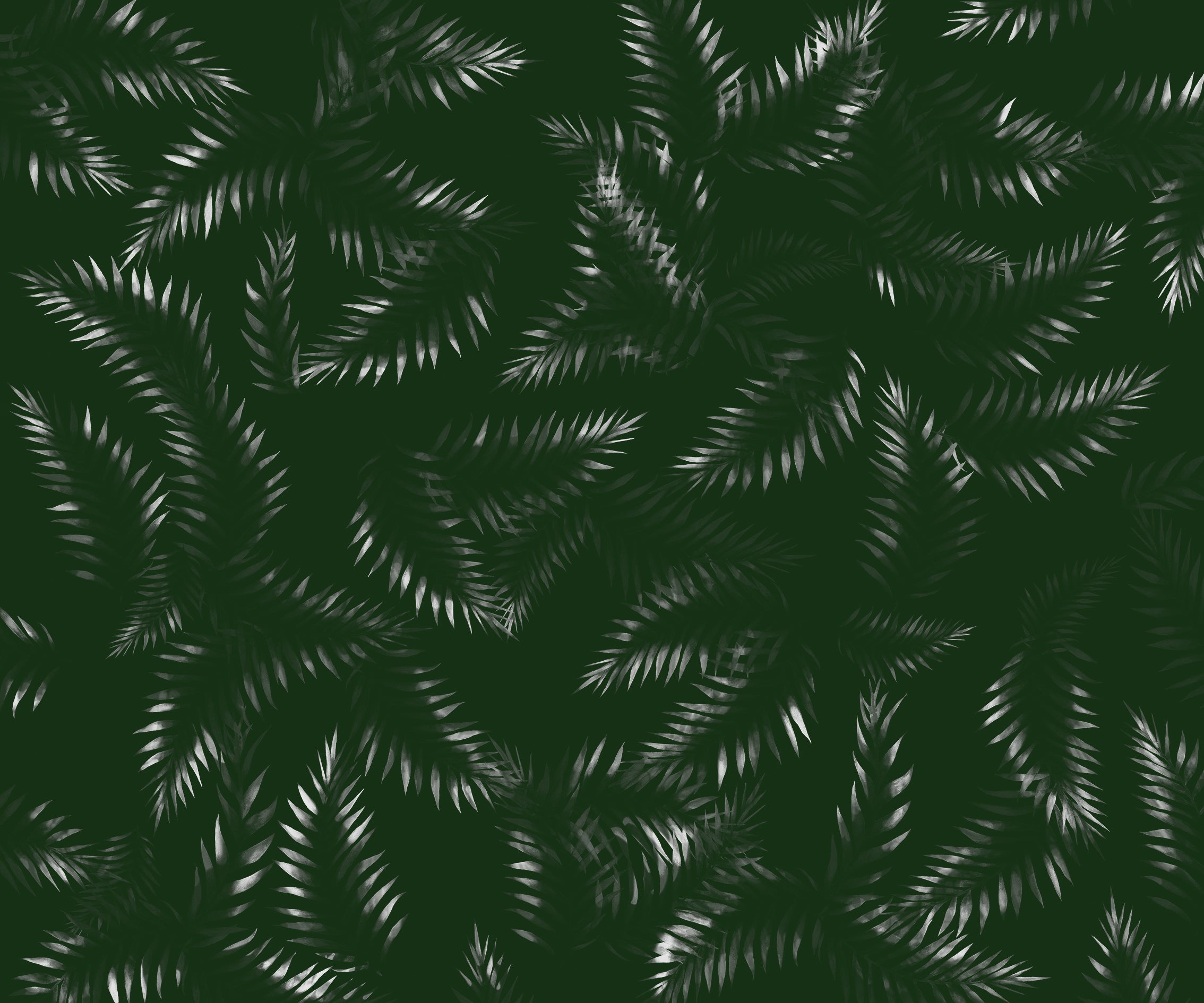 Papier peint Fougères