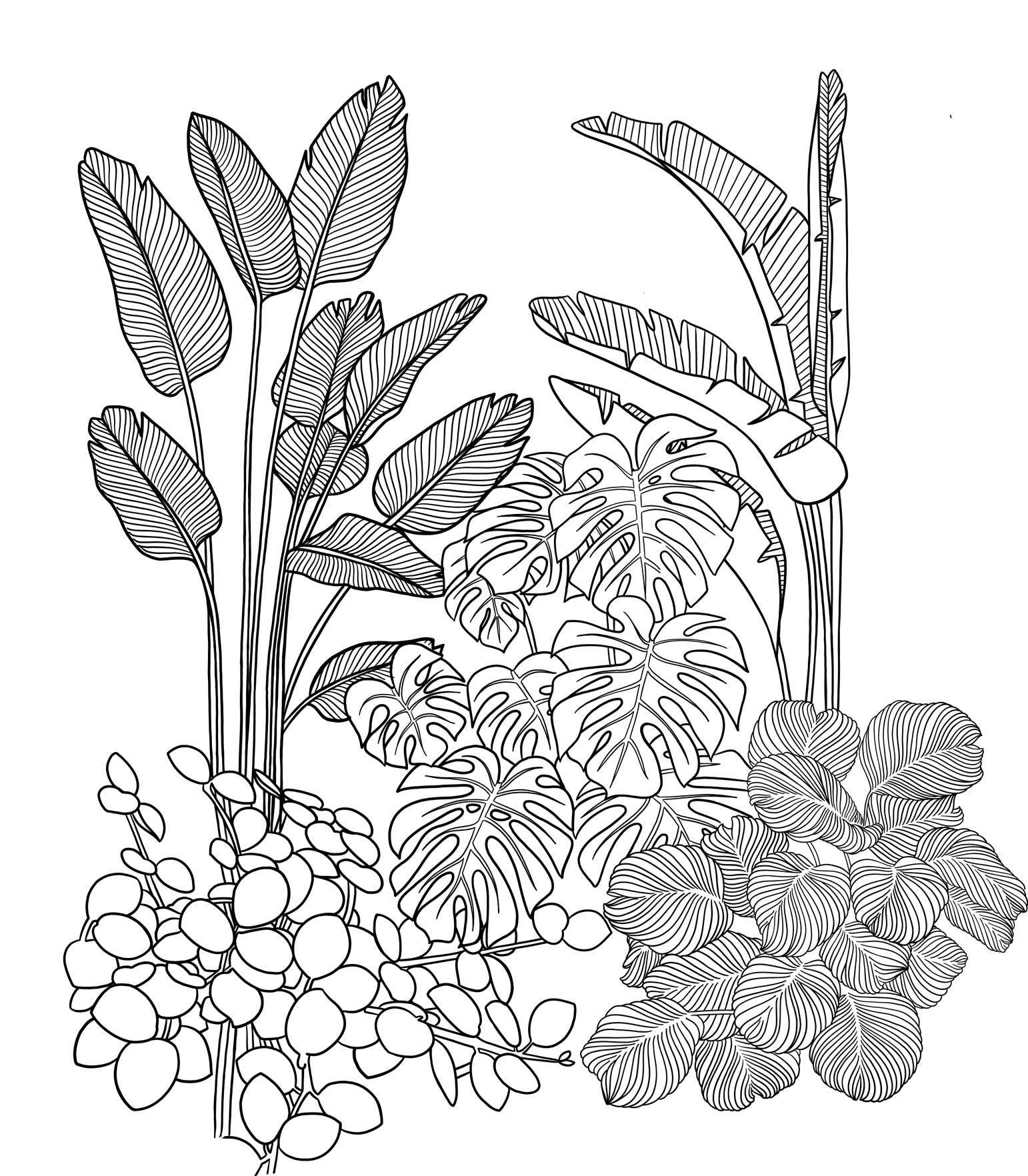 Papier Peint Jungle Horizontale