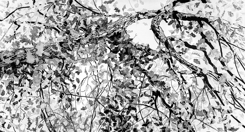 Papier peint Lumière à choueir