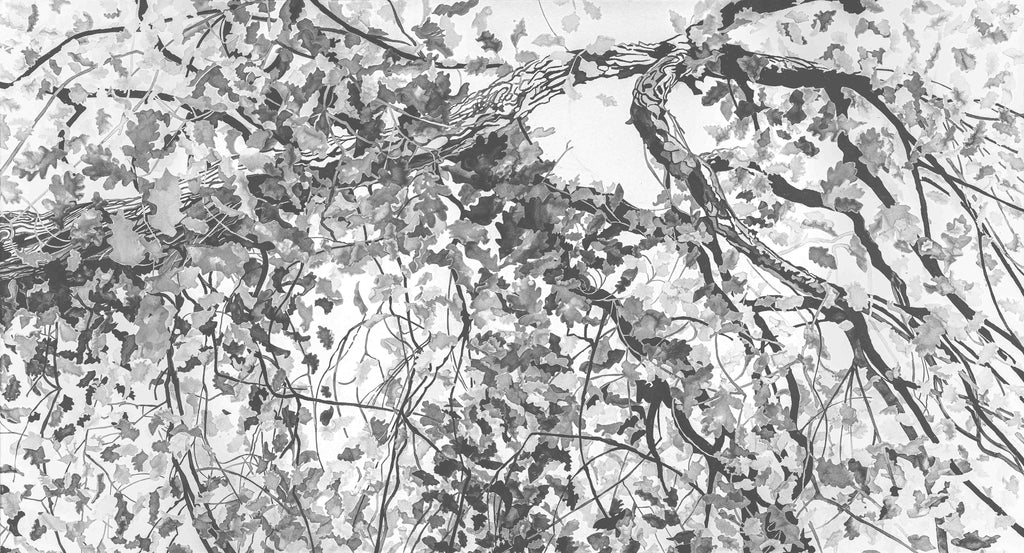 Papier peint Lumière à choueir