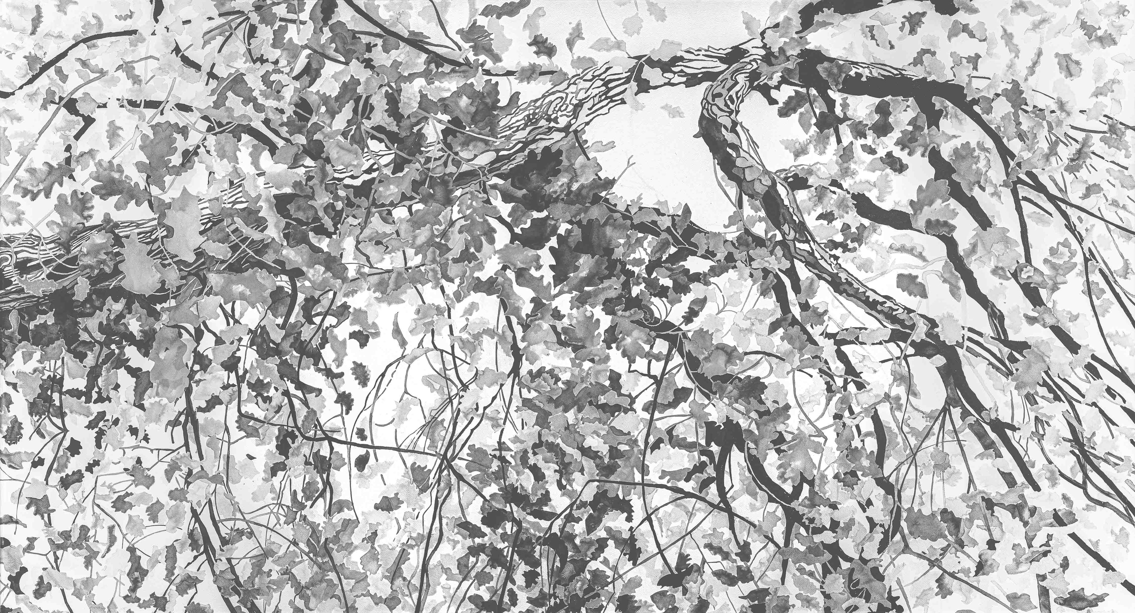 Papier peint Lumière à choueir