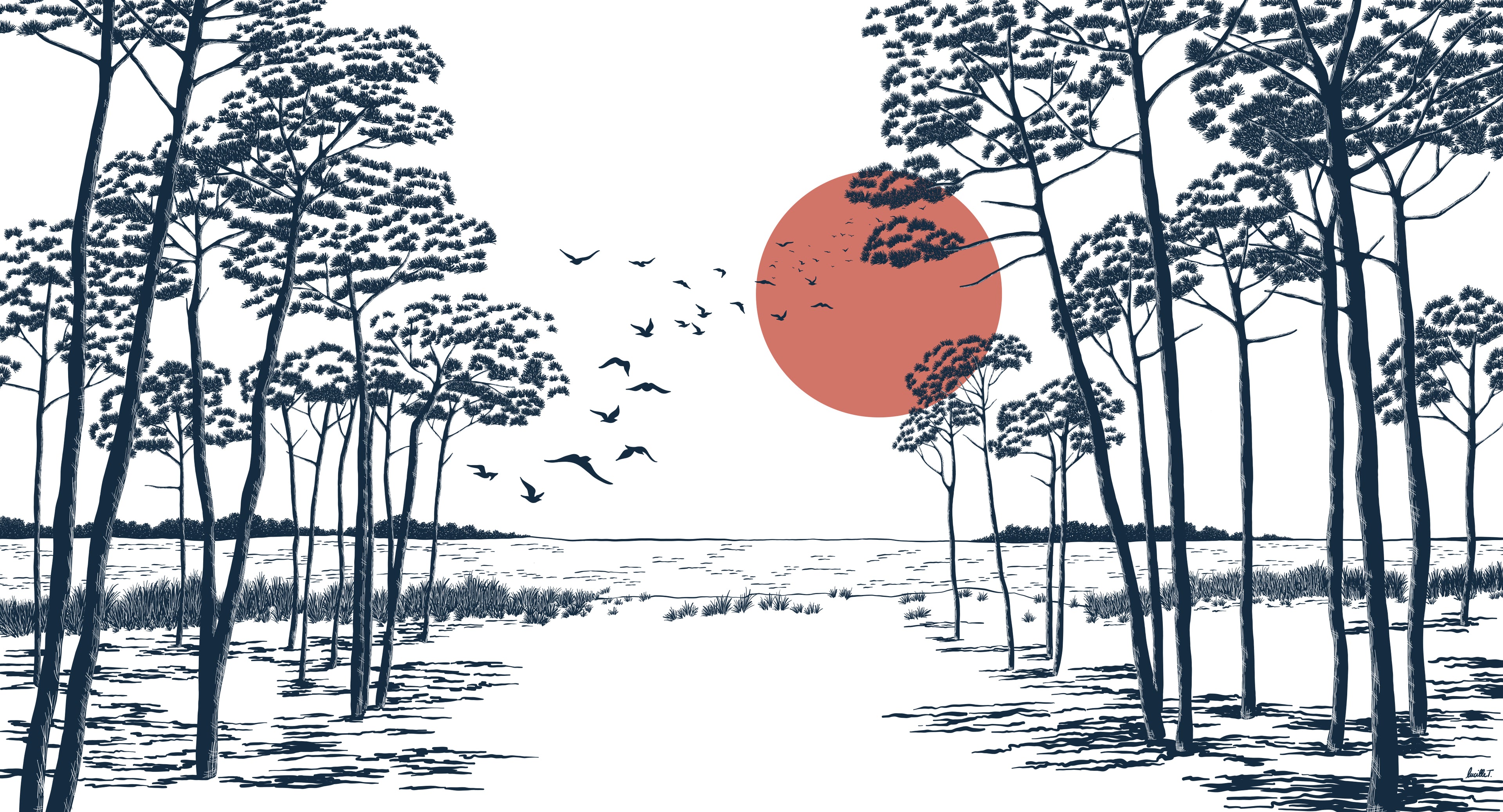 Papier peint Ombre des pins