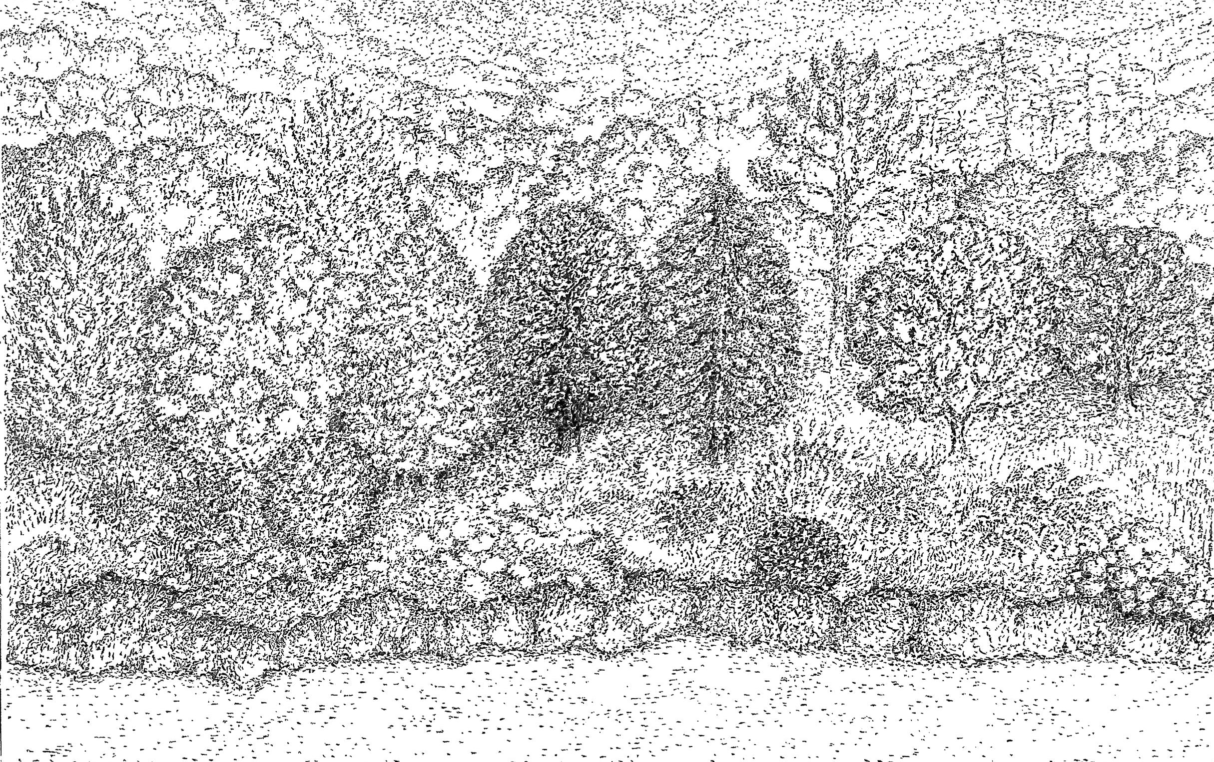 Papier peint panoramique Reminiscence V