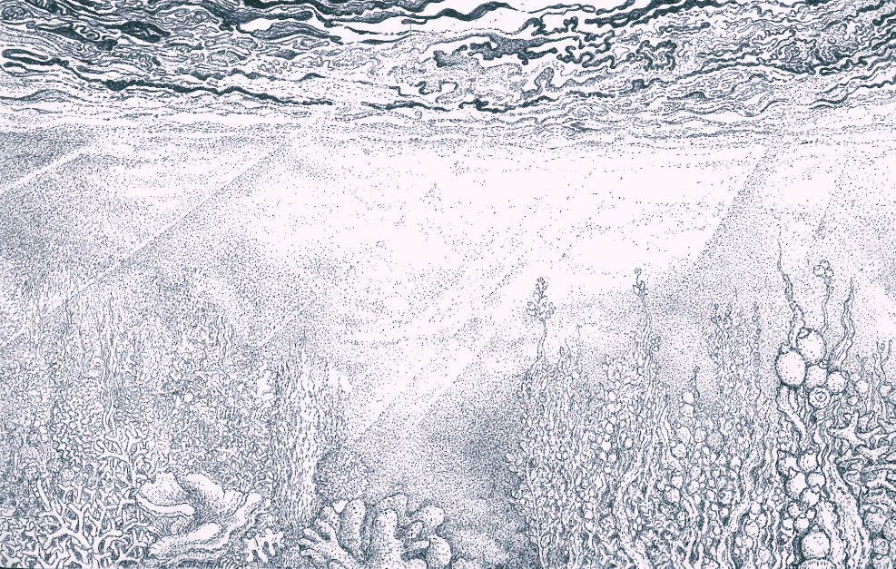 Papier peint panoramique Reminiscence X