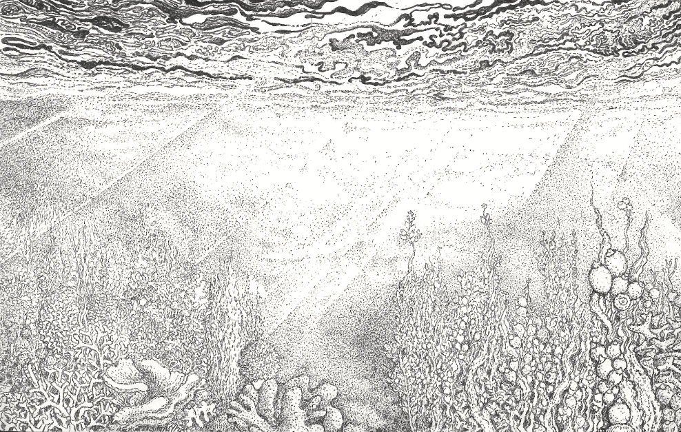 Papier peint panoramique Reminiscence X