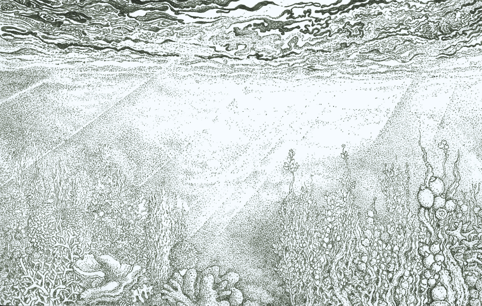 Papier peint panoramique Reminiscence X