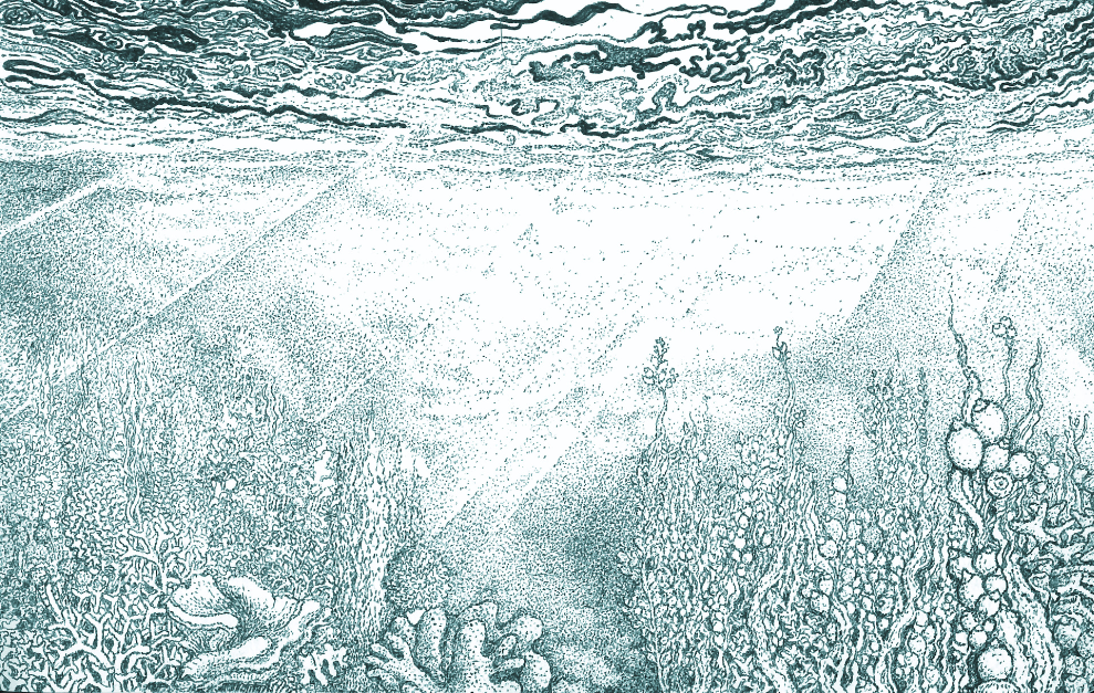 Papier peint panoramique Reminiscence X