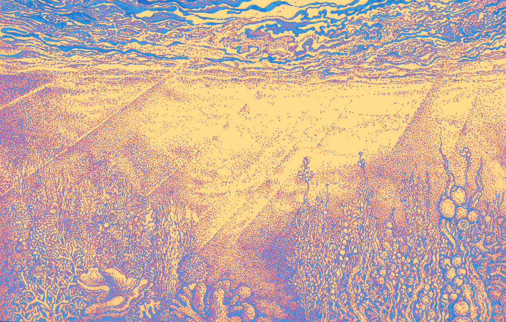 Papier peint panoramique Reminiscence X