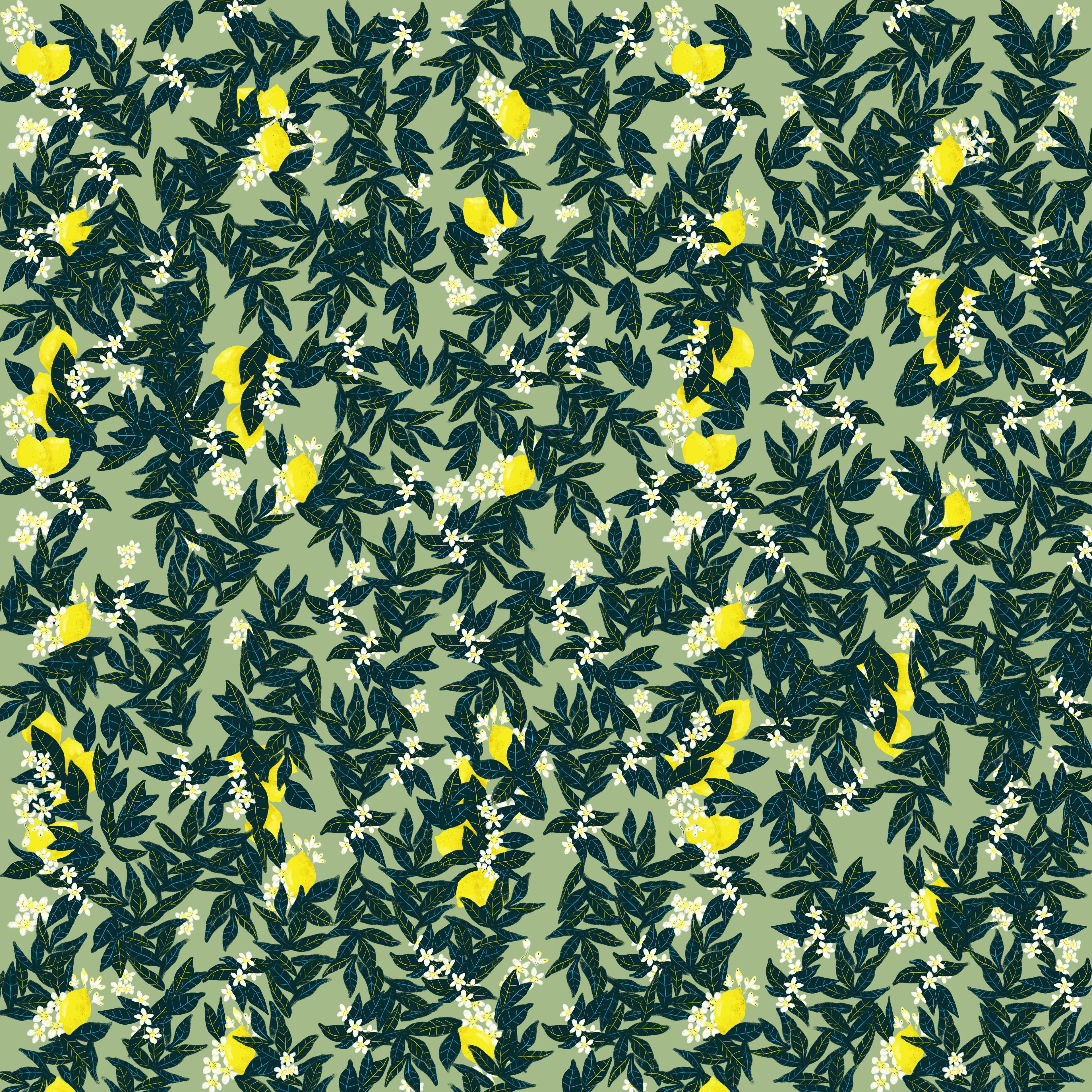 Papier peint panoramique Cedron