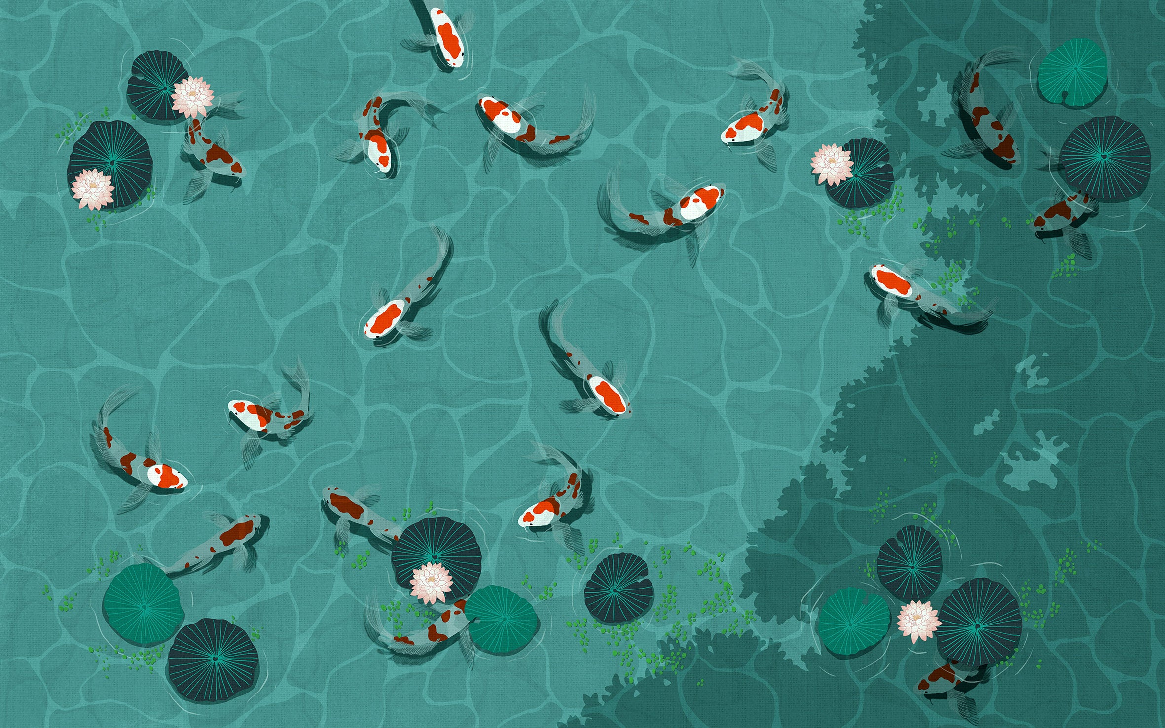 Papier peint panoramique Koi