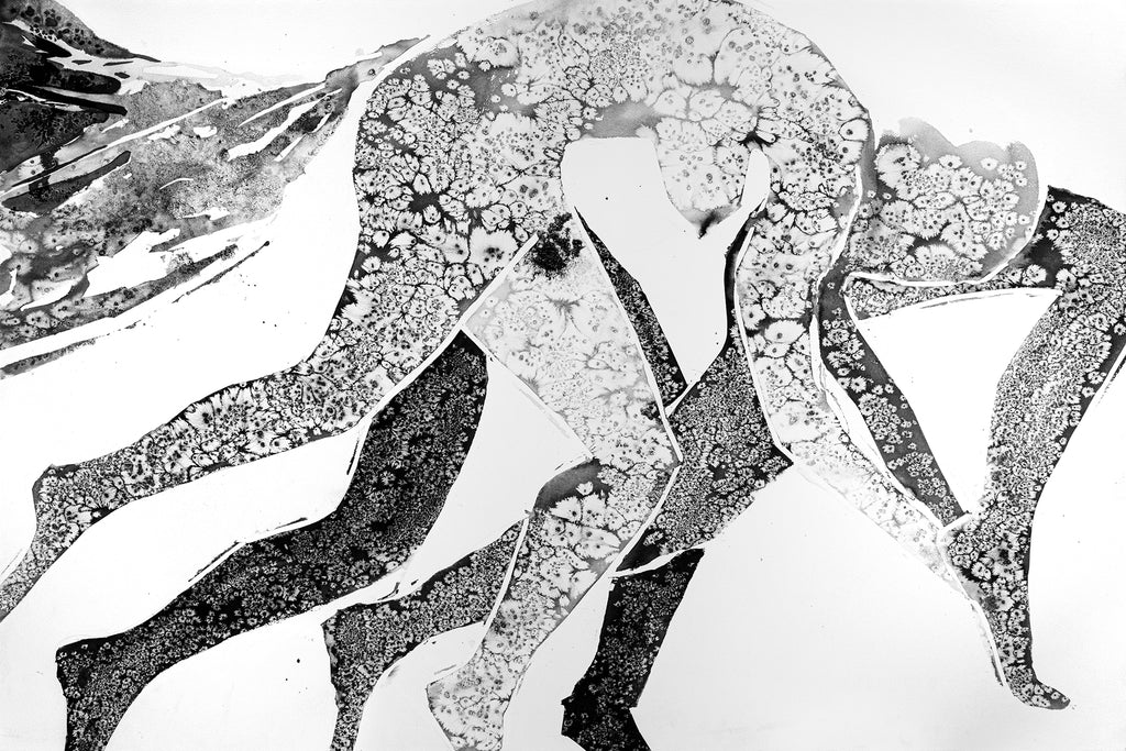 Papier peint Où allons-nous