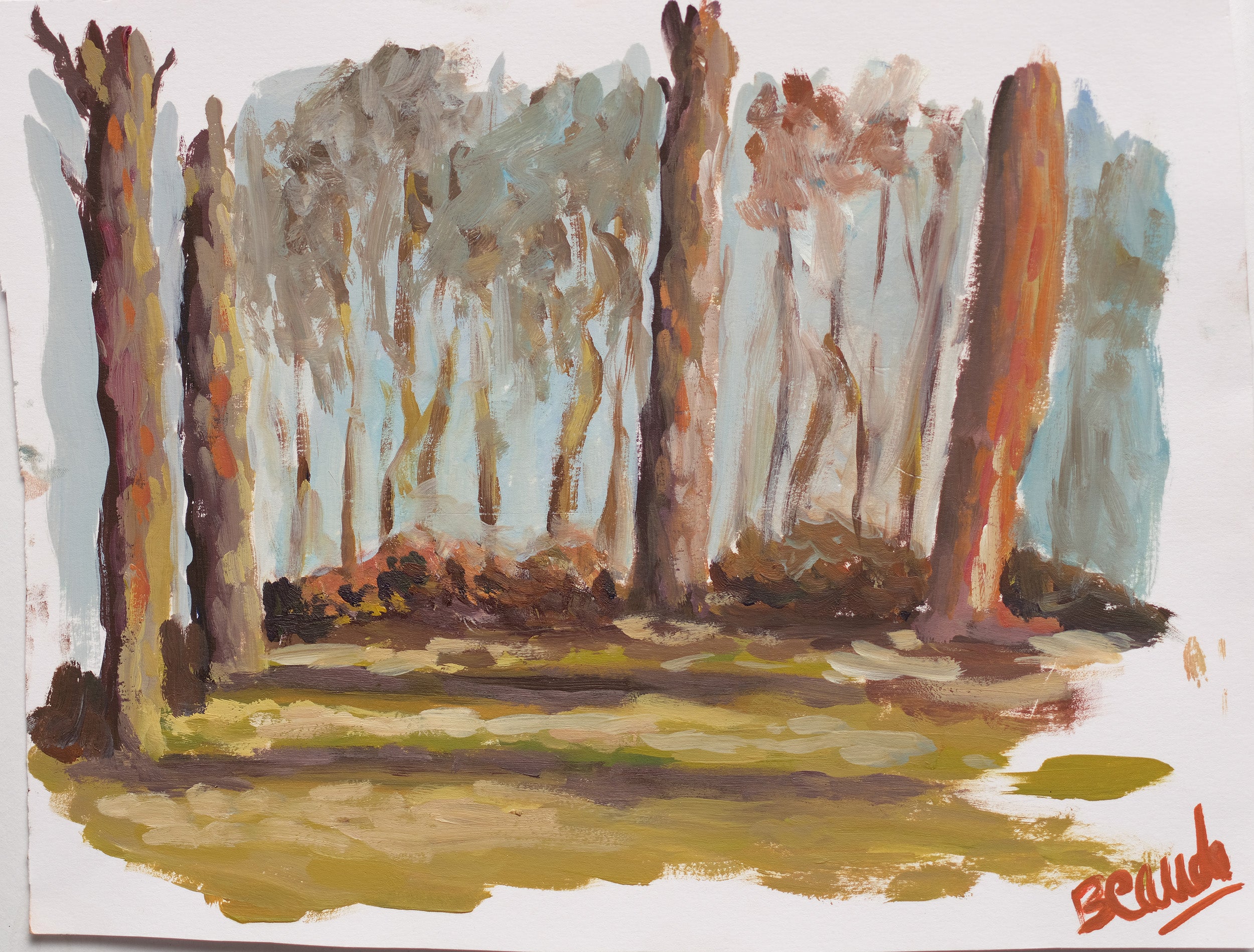 Papier peint panoramique À l'orée des bois de Julie Beaude représentant une forêt de pins baignée de lumière.