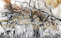 Papier peint panoramique Avril de Nada Matta représentant des fleurs sauvages orangées et des branches entrelacées dans des tons noir, gris et blanc.