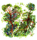 Papier peint panoramique Canopée de Nada Matta représentant une jungle tropicale luxuriante en vert avec palmiers, fougères et bananiers.