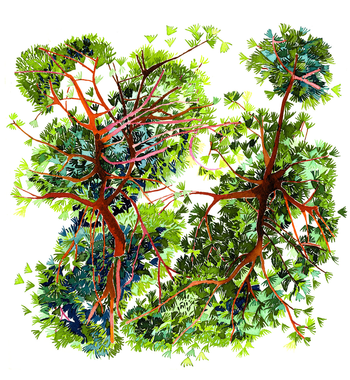 Papier peint panoramique Canopée de Nada Matta représentant une jungle tropicale luxuriante en vert avec palmiers, fougères et bananiers.