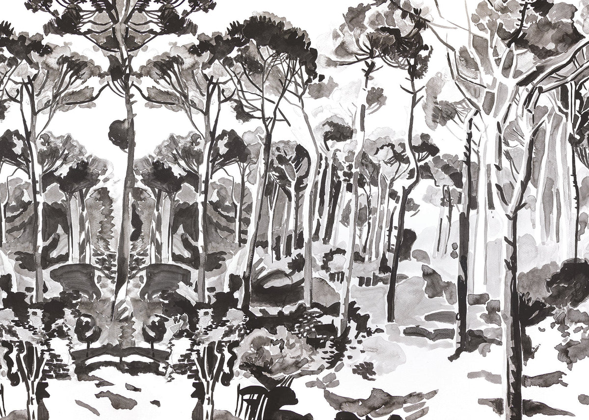 Papier peint panoramique Ensemble de Nada Matta représentant une forêt de pins aux troncs élancés dans un camaïeu de noir, gris et blanc.