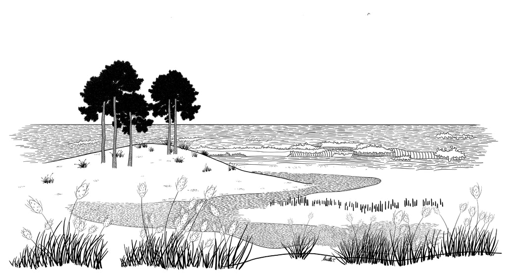 Papier peint panoramique Ruisseau sur Plage de Lucille T représentant un paysage du littoral avec un ruisseau, des pins et des parcs à huîtres.