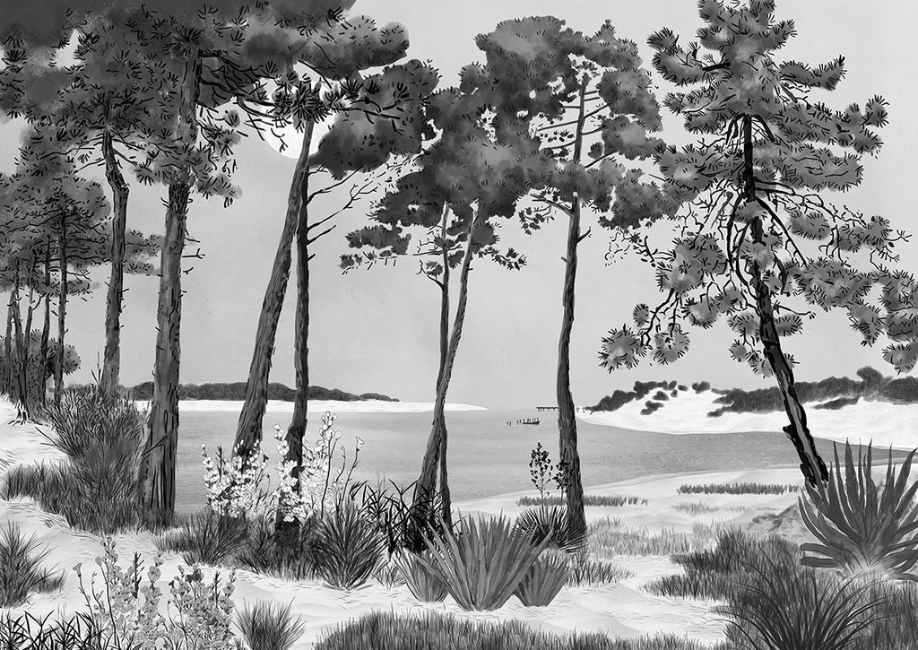 Papier peint panoramique Pinède