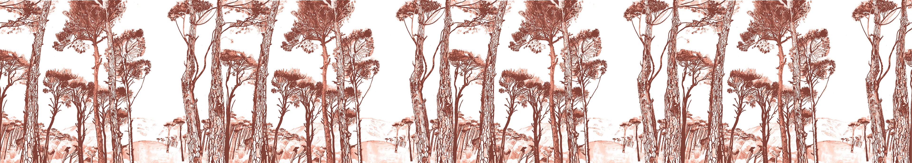 Papier peint Pins parasols