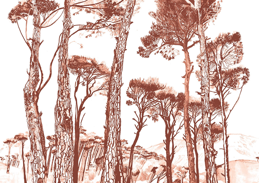 Papier peint Pins parasols