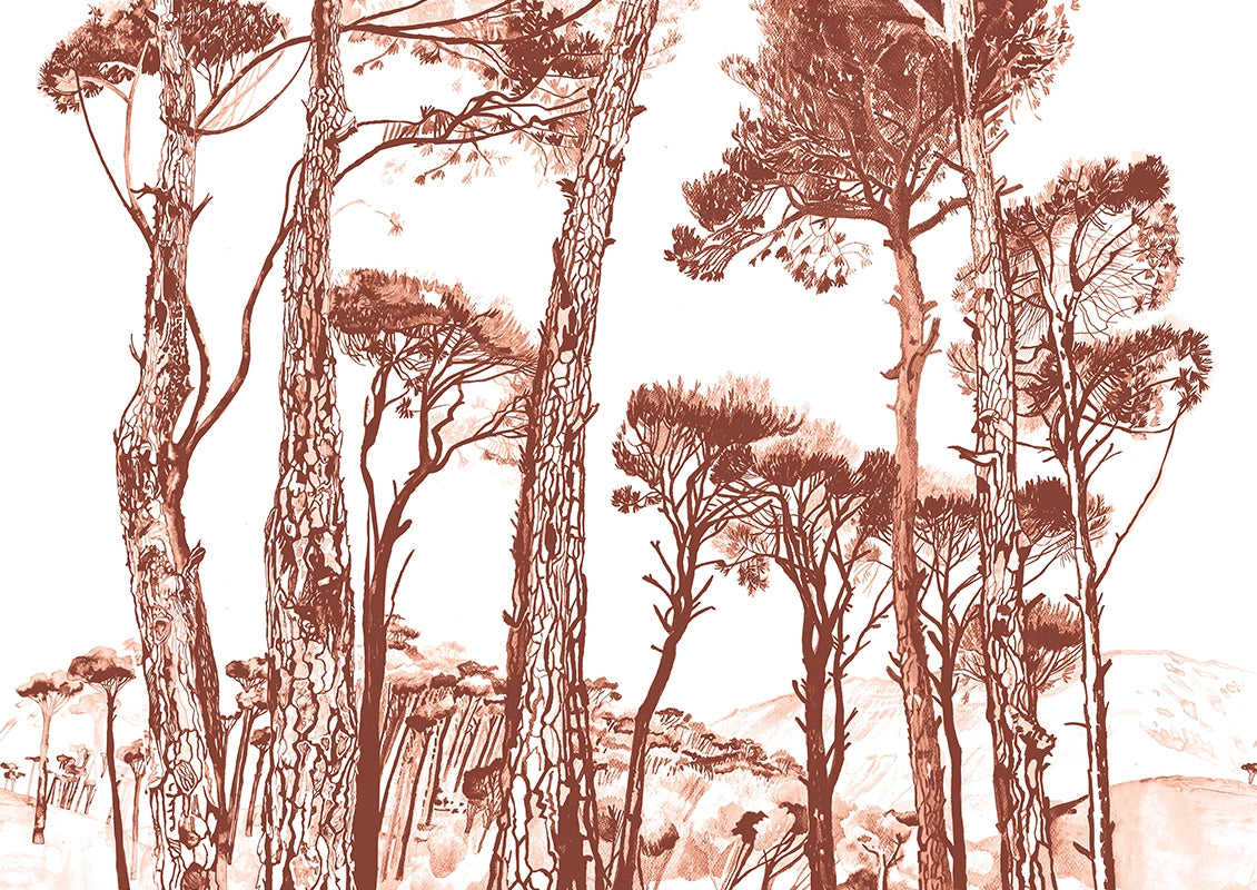 Papier peint Pins parasols