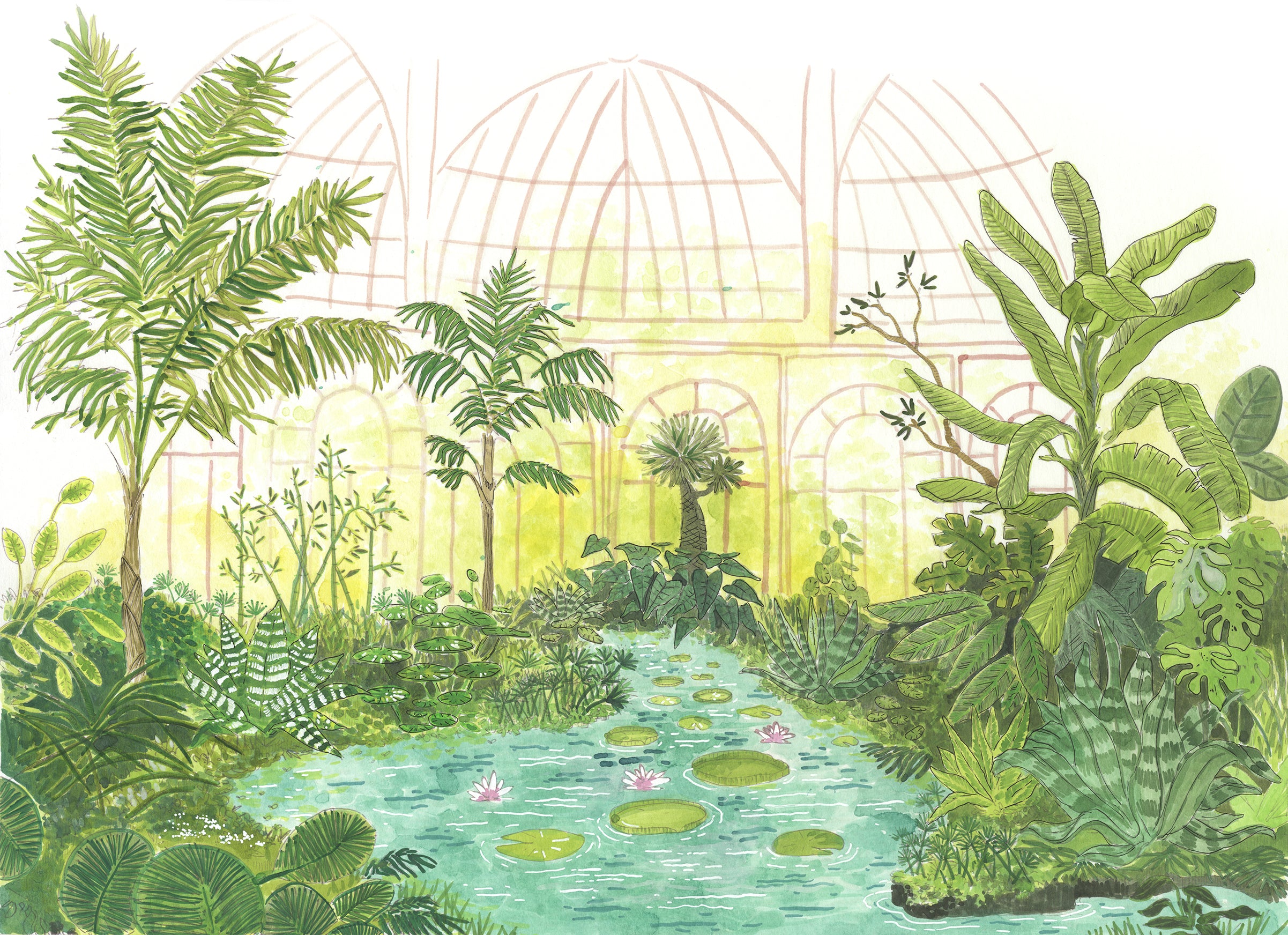 Papier peint panoramique Serre tropicale